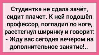 Профессор Пригласил Студентку на Дополнительные Занятия! Сборник Свежих Смешных Жизненных Анекдотов!