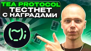 TEA PROTOCOL | Тестнет с гарантированными наградами | airdrop