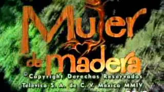 Mujer de Madera - Entrada 1