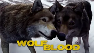 Wolfblood - Maddy Returns (Season 3)