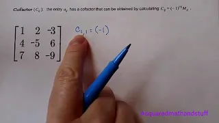 Minors and Cofactors of a Matrix