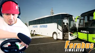 PRACUJĘ TERAZ DLA SINDBAD'A! *Flixbus mnie zwolnił* 🚌 Fernbus Simulator