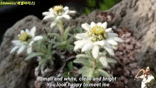 Edelweiss(에델바이스)_R.Rodgers_오카리나_조지호
