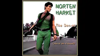 a-ha - Morten Harket - The Secret (phaze unreleased)