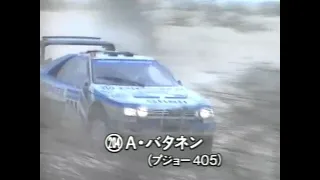 1988パリ・ダカールラリー 首位独走プジョー405アリ・バタネン車盗難事件