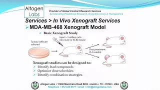 Altogen Labs MDA-MB-468 Xenograft Service Breast Cancer