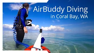 AirBuddy Diving in Coral Bay, Western Australia