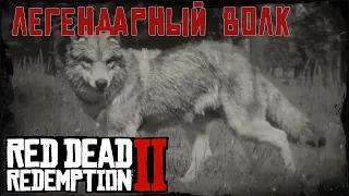 ЛЕГЕНДАРНЫЙ ВОЛК - охота в RDR 2