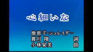 心細いな 　カラオケ