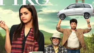 Piku Sarod Theme 28 Mins Seamless