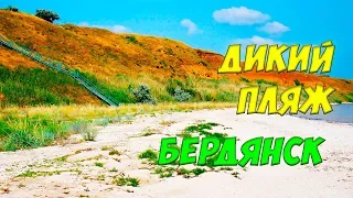 Бердянск:  дикий пляж на дачах