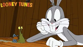 New Looney Tunes S01E11 Bugs vs Snail