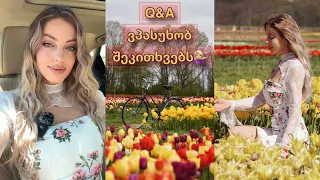 Q&A | ვპასუხობ შეკითხვებს | Tulip farm 🌷͙֒
