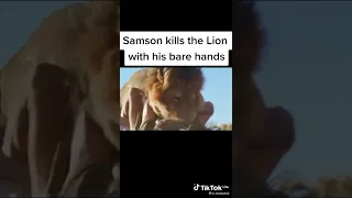 samson kill lion with bare hand