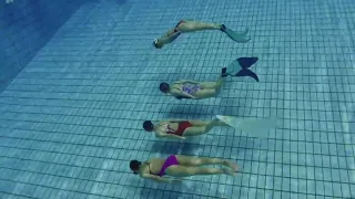 머메이드 팀 프리 다이빙 | Mermaid team free diving