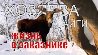 XОЗЯЕВА ТАЙГИ. Что такое "заказники"...