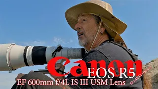 Canon R5, EF 600mm f/4L IS III USM Lens & EF 1.4X III extender = 840mm of awesome - river treasures!