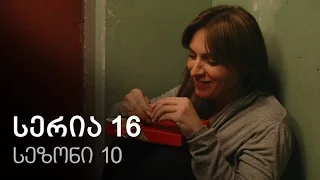 ჩემი ცოლის დაქალები - სერია 16 (სეზონი 10)