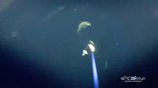 Deep dropping ... 4 bites filmed by Hook-Eye Sportfishing Action Camera