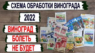 🍇 Виноград болеть не будет. Рабочая СХЕМА ОБРАБОТКИ от основных болезней из ДОСТУПНЫХ ПРЕПАРАТОВ.