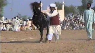 horse dance mala ghulam shah sawar ustad badar din 11