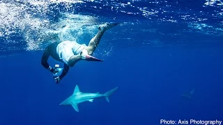 Swimming with SHARKS and Pro Photographer Clark Little