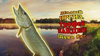 Трофей найден Щука 8 кг