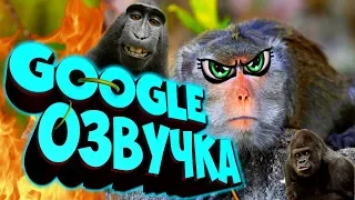 СМЕШНАЯ GOOGLE ОЗВУЧКА. 😂 Смешные животные. Приколы. Выпуск 6