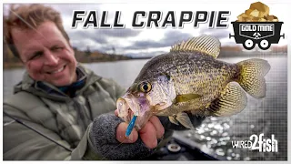 Catch More Fall Crappies | Advanced Lure and Fish Finder Tips