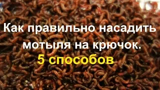 Как правильно насадить мотыля на крючок. 5 способов