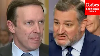 'Chris Murphy Admits The Border Never Closes!': Ted Cruz Rips Bipartisan Border Security Bill