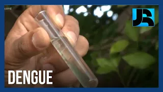 Prefeitura de Florianópolis (SC) decreta situação de emergência por causa da dengue