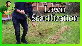 How to Scarify a Lawn and Plant a Wildflower Meadow