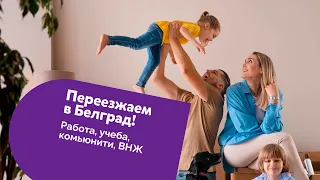 Переезд в Белград! Вебинар Intellectum Academy и СЕРБИНОВЫХ