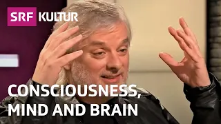 What Is Consciousness? | TV-Talk with David Chalmers | Sternstunde Philosophie | SRF Kultur