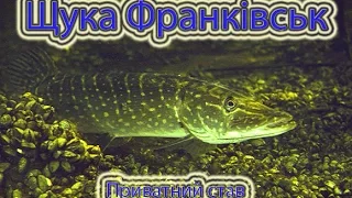 Підводне полювання , приватне озеро, місія щука.