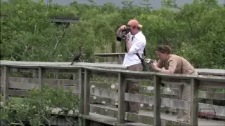 Everglades National Park 3-minute Tour