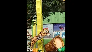 Tiger 🐅🐯 Year 2022/Happy Chinese New Year - Chinatown -Singapore