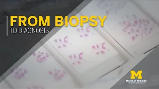 From Biopsy to Diagnosis