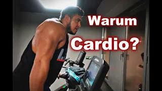 Cardio im Aufbau? (inkl. Erläuterung Insulinsensivität)