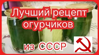 Лучший рецепт маринованных огурчиков со времен СССР.