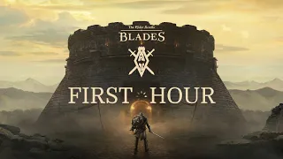 Elder Scrolls Blades Switch First Hour