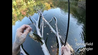 Some Fall Fishing
