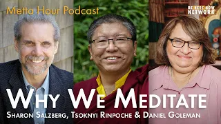 Why We Meditate with Tsoknyi Rinpoche, Daniel Goleman & Sharon Salzberg  – Metta Hour Podcast Ep.197