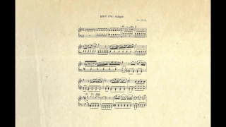 Concerto in Re minore per Oboe | II. Adagio | Alessandro Marcello & Johann Sebastian Bach