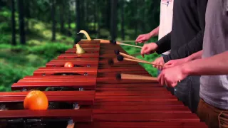 Legend of Zelda - Dark World Theme on Marimba