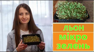 МІКРОЗЕЛЕНЬ 🌱 ЛЬОНУ 🍀