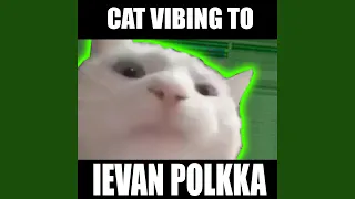 Cat Vibing To Ievan Polkka Swing