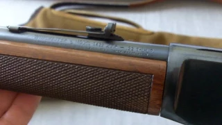 Utility Guns: The Venerable Winchester 9422 in 22LR