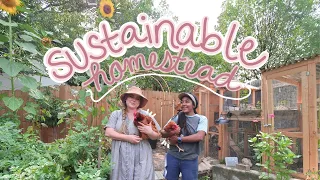 our sustainable homestead garden tour (chickens, sunflowers, and ALL the veggies)